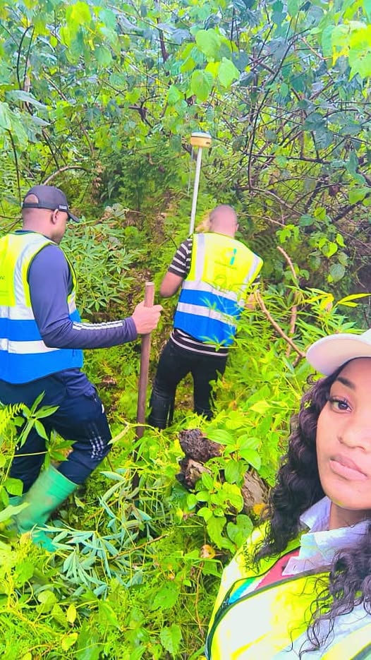 Directeur DAREWATCH IMMOBornage Officiel