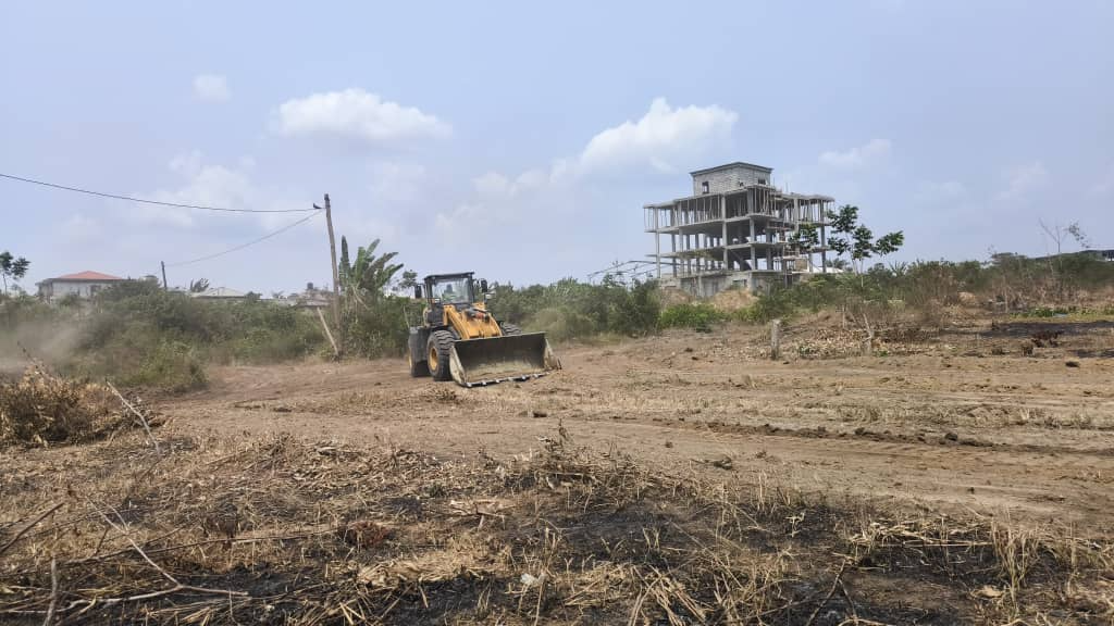 Directeur DAREWATCH IMMOBornage Officiel